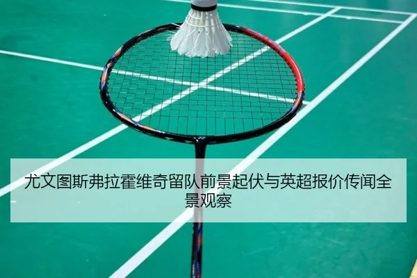 尤文图斯弗拉霍维奇留队前景起伏与英超报价传闻全景观察